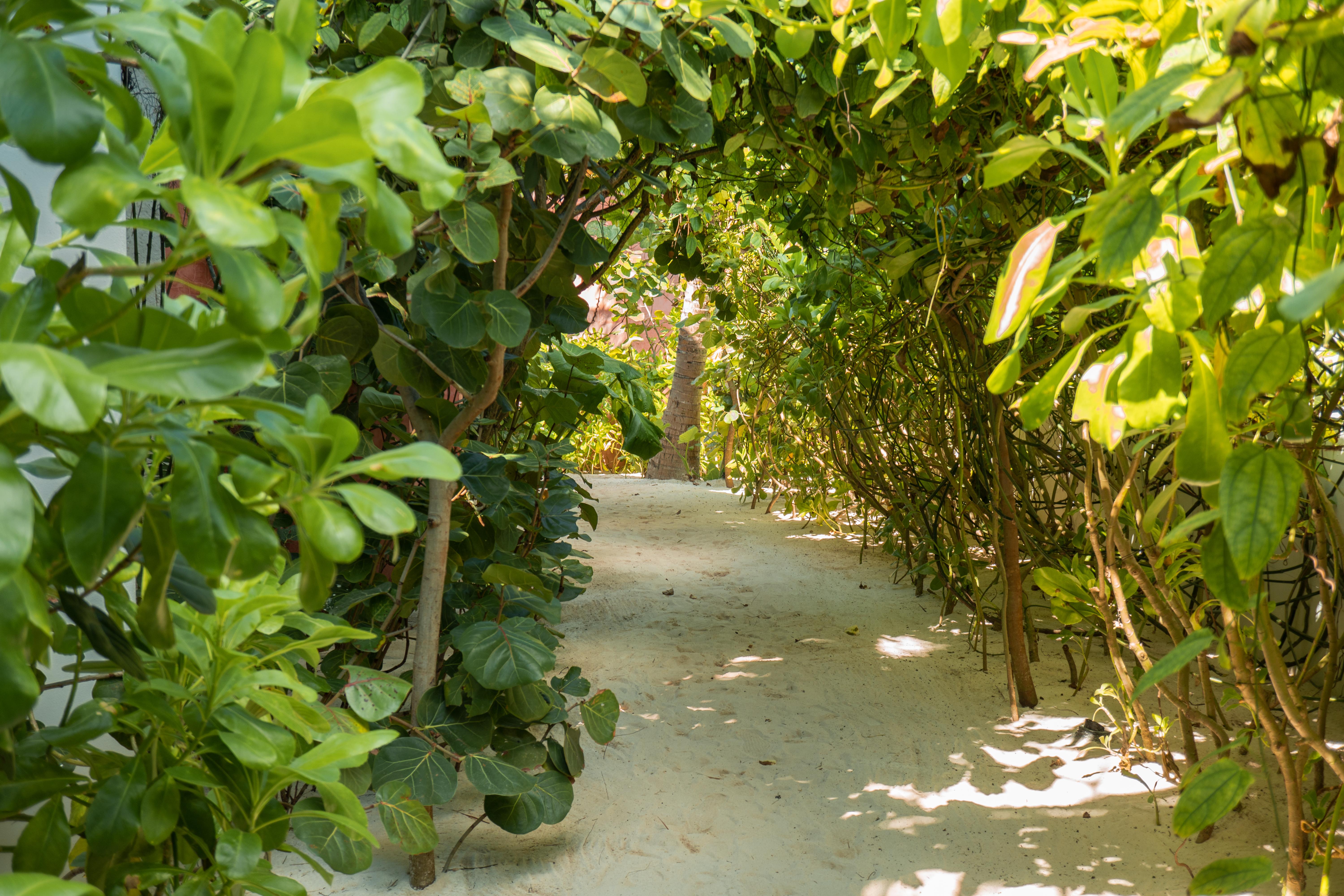 Tago Tulum By G Hotels ภายนอก รูปภาพ
